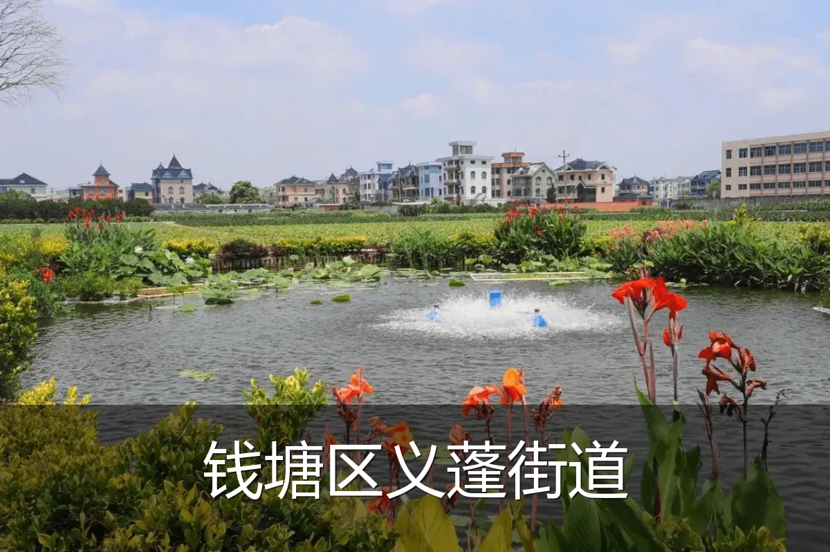 钱塘区义蓬街道