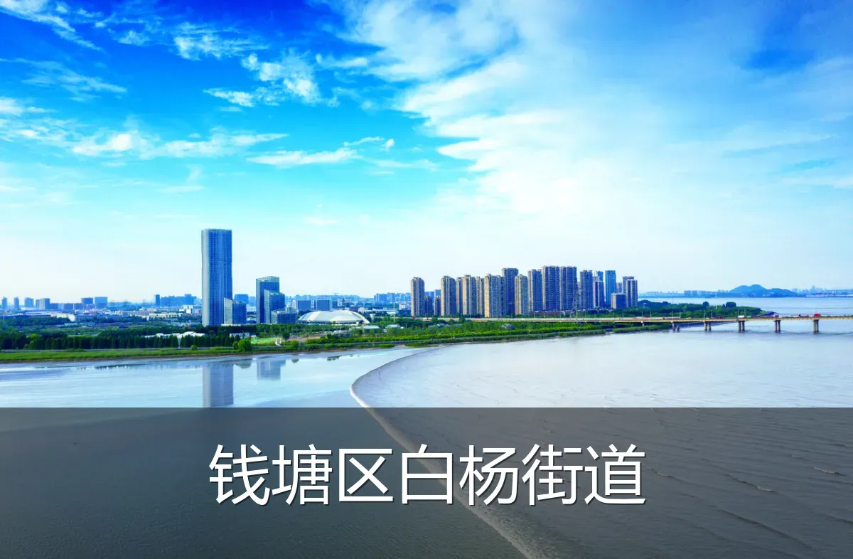 钱塘区白杨街道