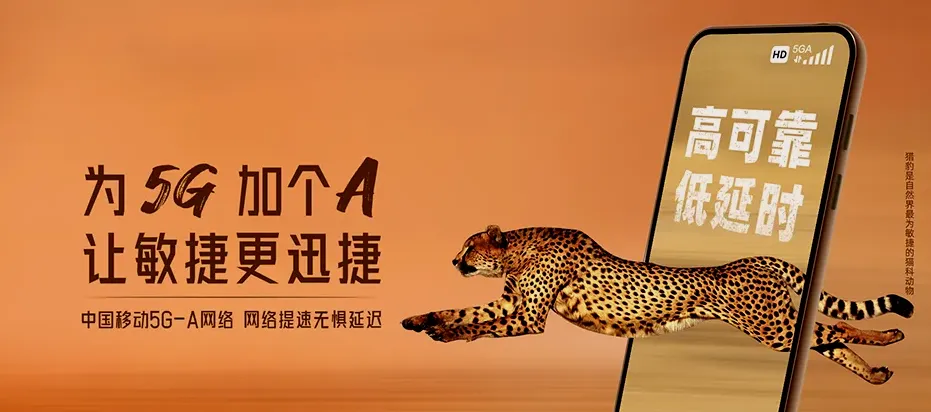 钱塘区钱塘天目云柯里 移动宽带